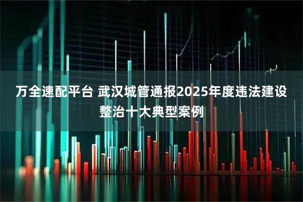 万全速配平台 武汉城管通报2025年度违法建设整治十大典型案例